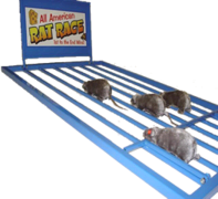 All American Rat Race All American Rat Race