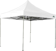 10x10 Canopy 10x10 Canopy