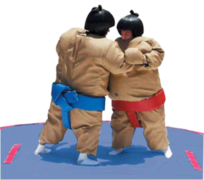 Sumo Wrestling Sumo Wrestling