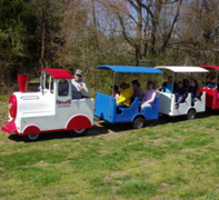 Trackless Train Trackless Train